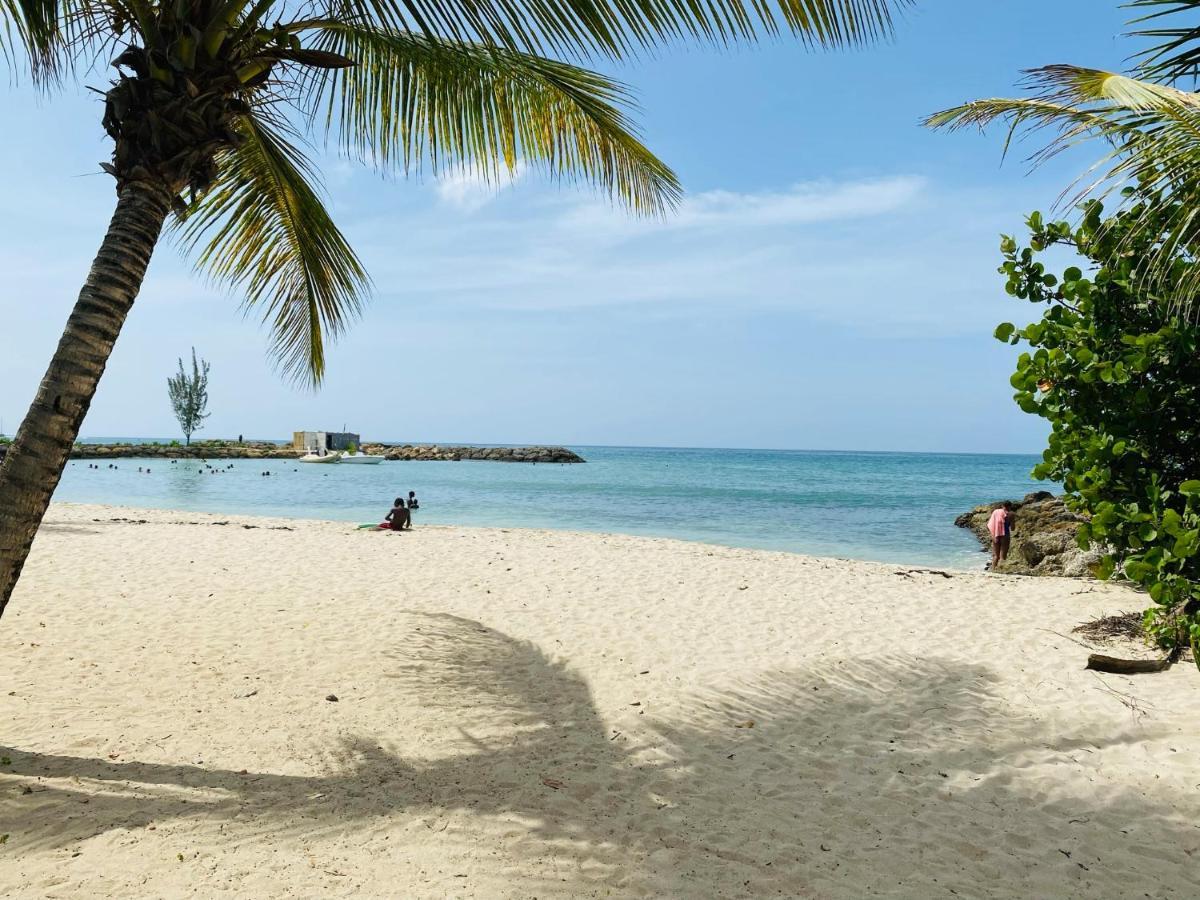 Vanille, A Proximite Des Plages, Idealement Situe Pour Visiter La Guadeloupe Le Gosier  Exterior foto